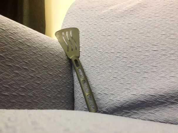 Warwick’s most eligible spatula 2016